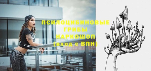 mix Арсеньев