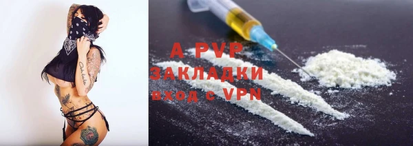 PSILOCYBIN Баксан