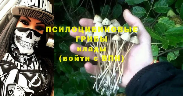 mix Арсеньев